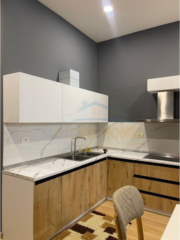 Rent, Apartment 1+1, Dry Lake, Tirana.