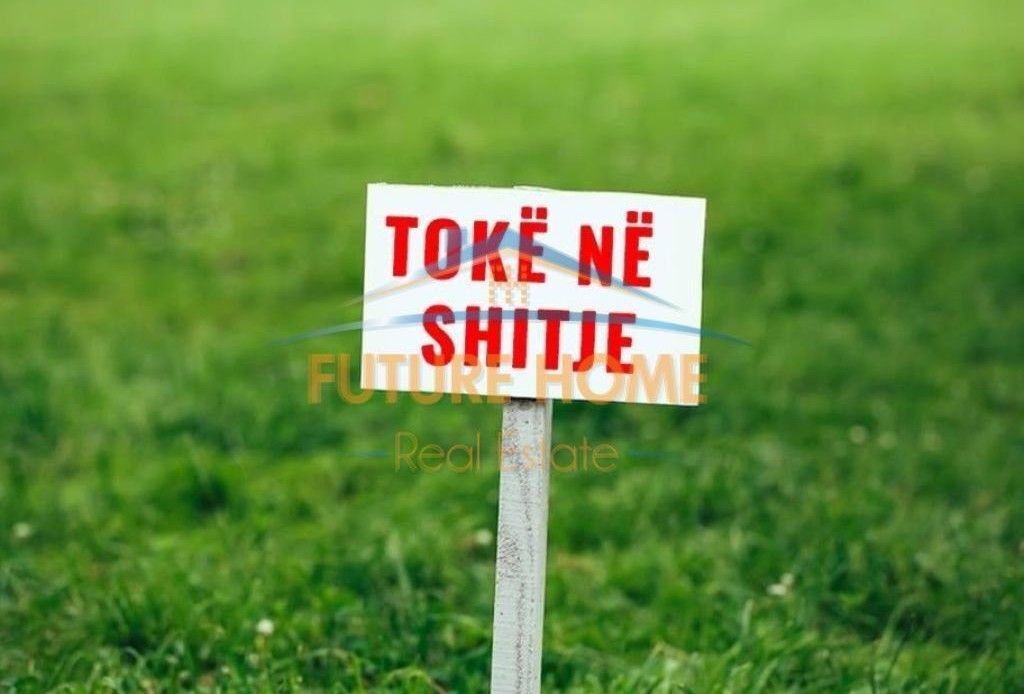 Shitet, Toke, Kombinat