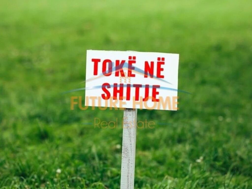 Shitet, Toke, Kombinat