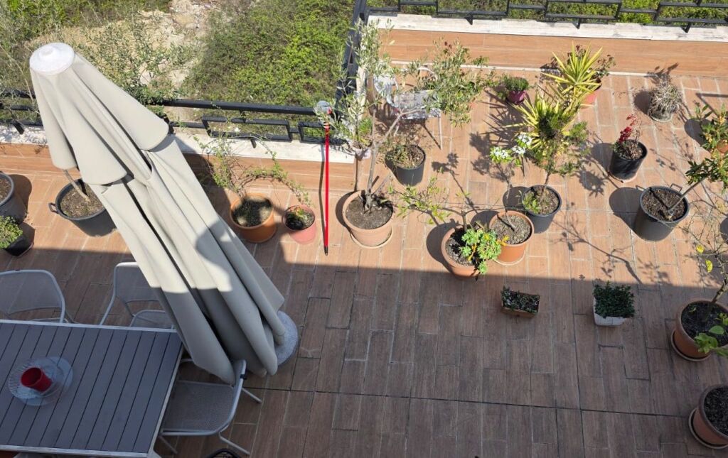 Shitet apartament tek Xhamia e Selitës