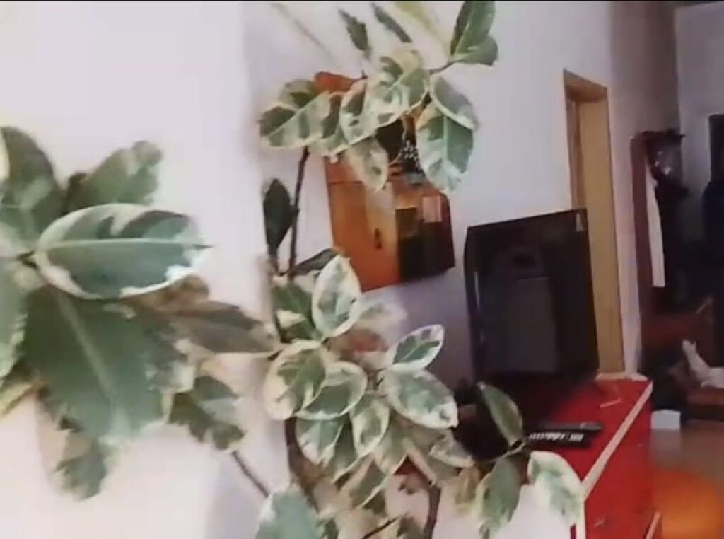 APPARTAMENTO 1+1. 30000 LEKE.ASTIR