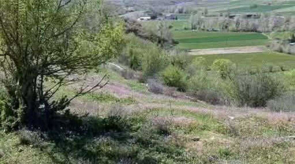 SHITET SHTËPI E VJETËR + TOKË 1600 M2 NË BALDUSHK