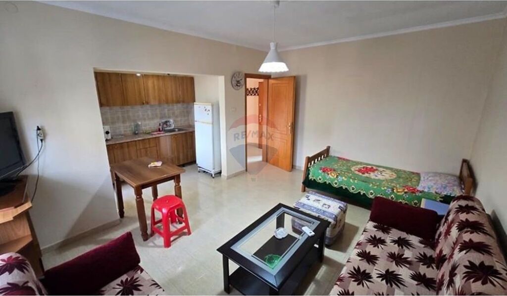 1 +1 for sale in Ali Demi