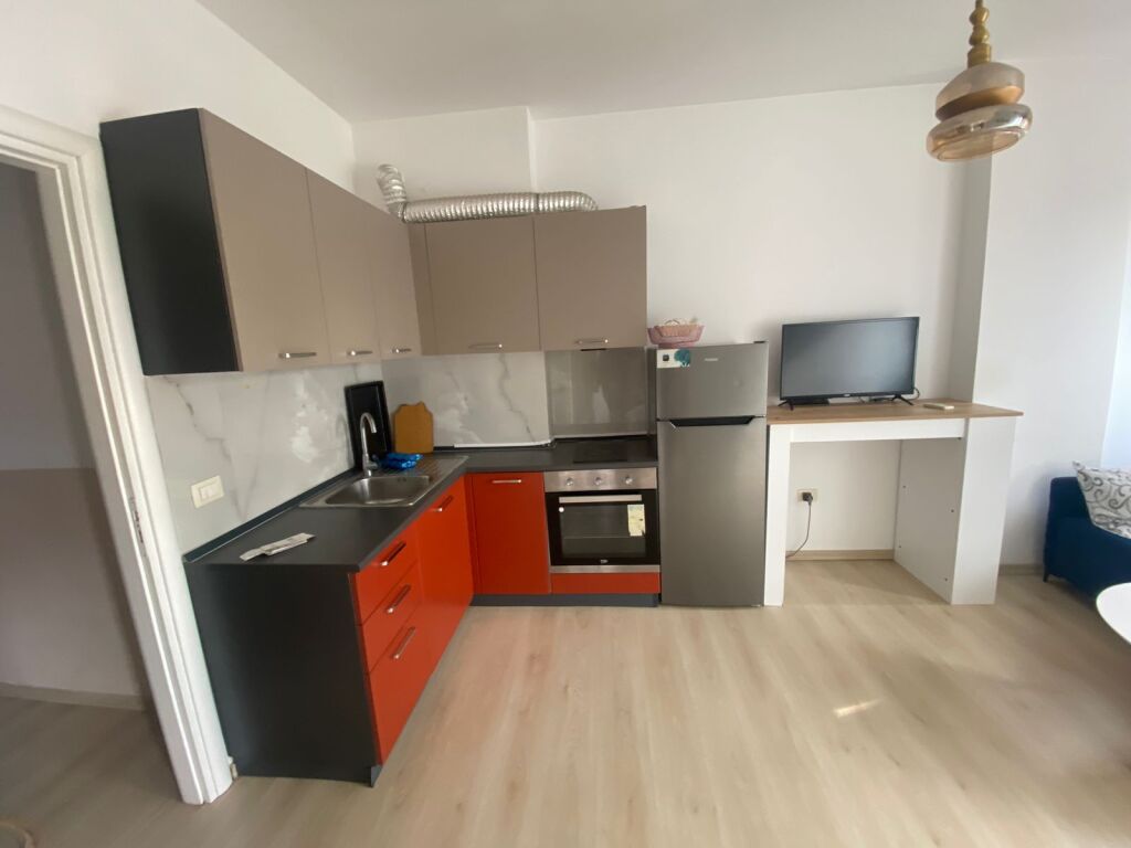 Jepet me qera Apartament 1+1, Astir