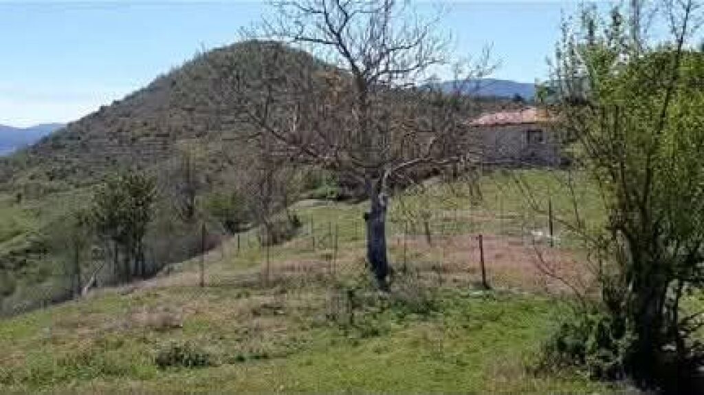 SHITET SHTËPI E VJETËR + TOKË 1600 M2 NË BALDUSHK