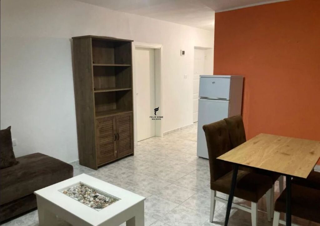 APARTMENT FOR RENT 1+1 VASIL SHANTO 55,000 LEKE FH-70342