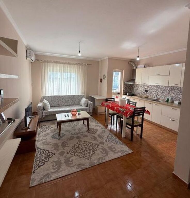 Apartament me qira 1+1 tek Ali Demi