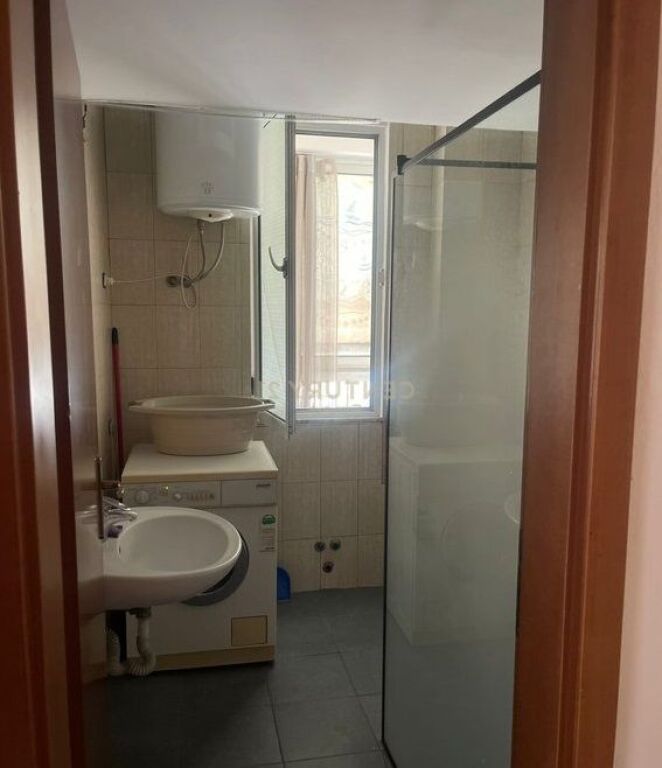 Apartament me qira, Zogu i Zi