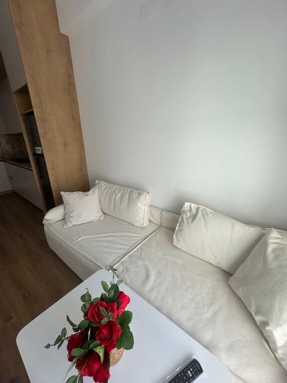 Appartamento 1+1 in affitto Residenza Kadiu