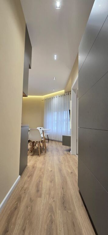 Apartment 1+1 for Rent Residence Kadiu Ali Demi Tirana