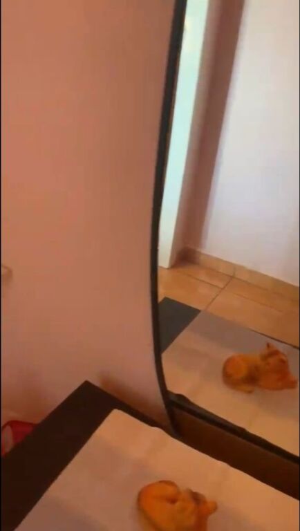 Affitto | Apartament 2 + 1 | Selvia | 600 €/mese