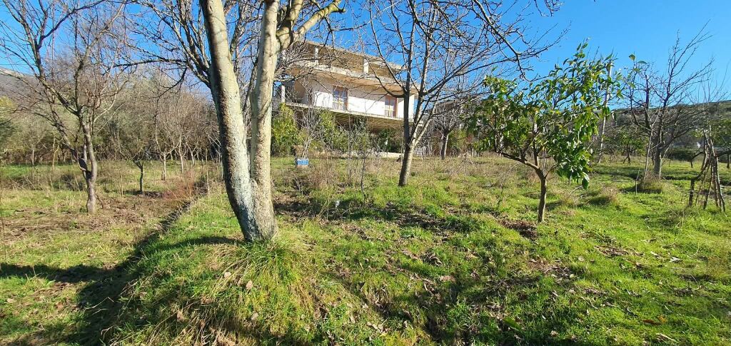 SHITET SHTEPI 3 KATESHE + TRUALL, Ibë e Poshtme, Zone e kuqe