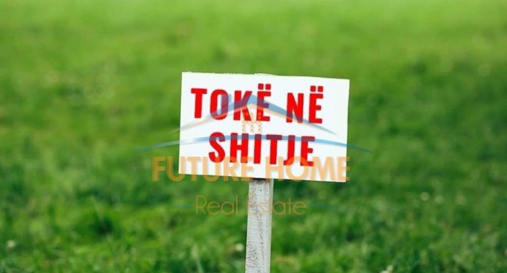 Shitet, Toke, Kombinat