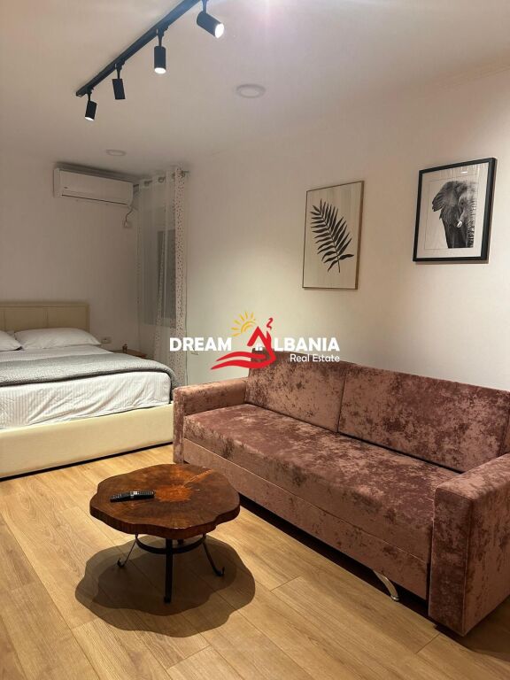 Apartment 1+1 with yard for rent near 21 Dhjetori close to Mondial (ID 4219487)