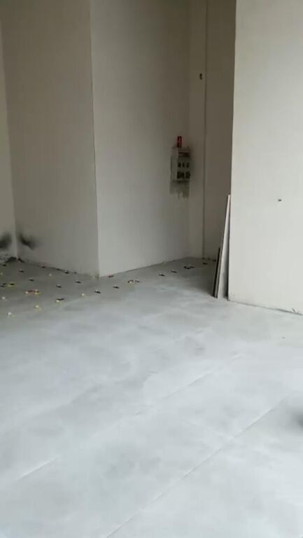 Affitto | Ambjent Biznesi | Sheshi Shqiponja | 500 €/mese