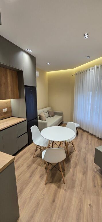 Apartament 1+1 me Qira Ali Demi Tirane