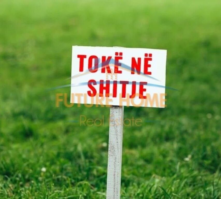 Shitet, Toke, Kombinat