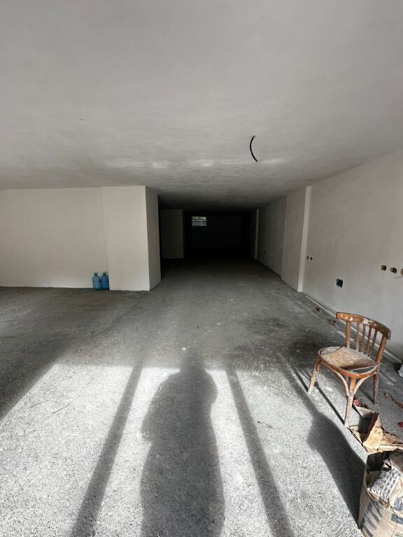 SHITET AMBIENT BISNESI PRANE RAJONIT TE POLICIS DURRES