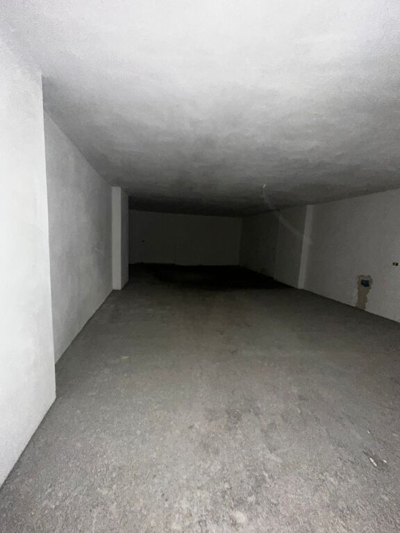 SHITET AMBIENT BISNESI PRANE RAJONIT TE POLICIS DURRES