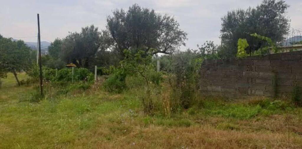 SHITET TRUALL 3000 M2 + NDERTESE 2 KATE - RRUGA E ARBERIT, FERRAJ