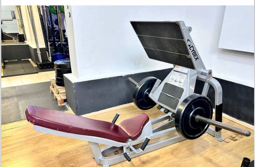 SHITEN PAJISJE TE NJE PALESTRE SHUME CILESORE