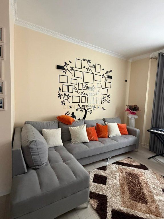 VILE 3-KATESHE PER SHITJE |PRANE SHESHIT PRANVERA ,QENDER DURRES !