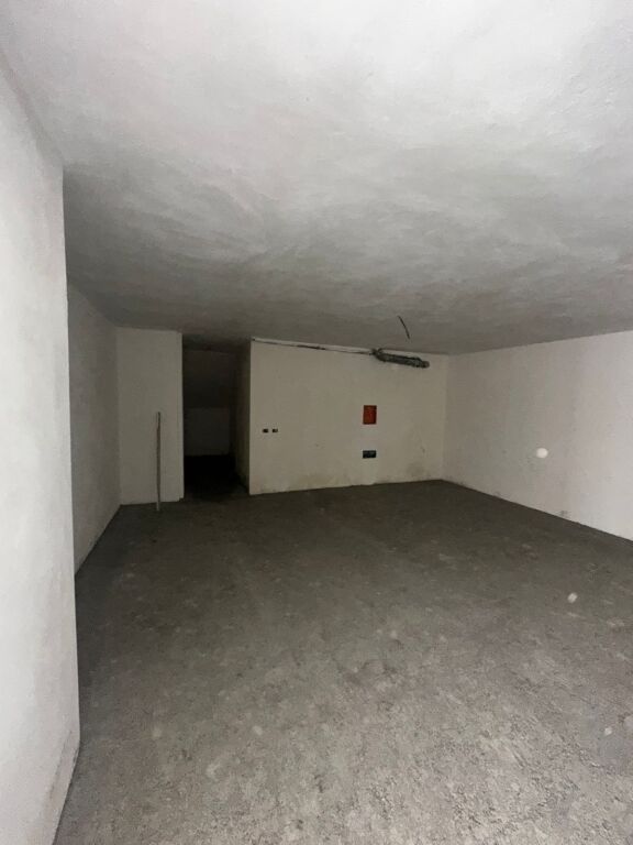 SHITET AMBIENT BISNESI PRANE RAJONIT TE POLICIS DURRES