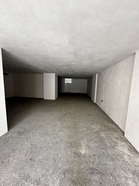 SHITET AMBIENT BISNESI PRANE RAJONIT TE POLICIS DURRES