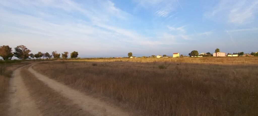 ✨ SHITET TOKË BUJQËSORE NË SEKTORIN RINIA, DURRËS ✨