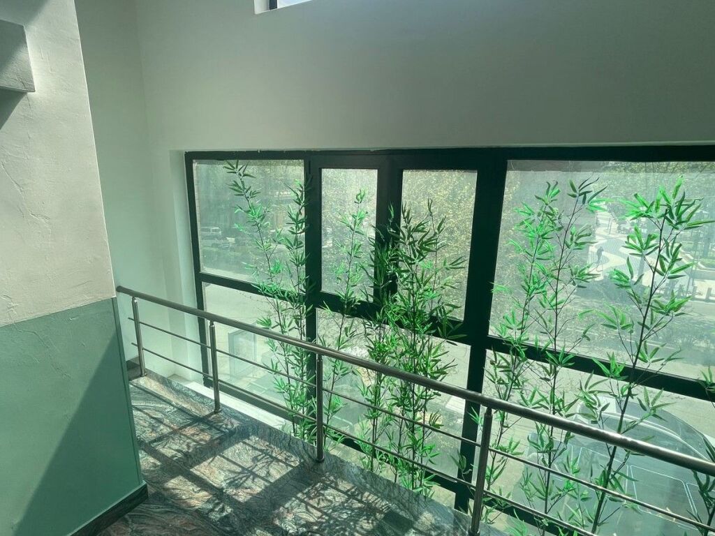 🏢 Jepet me qira njësi komerciale përballë Delijorgjit