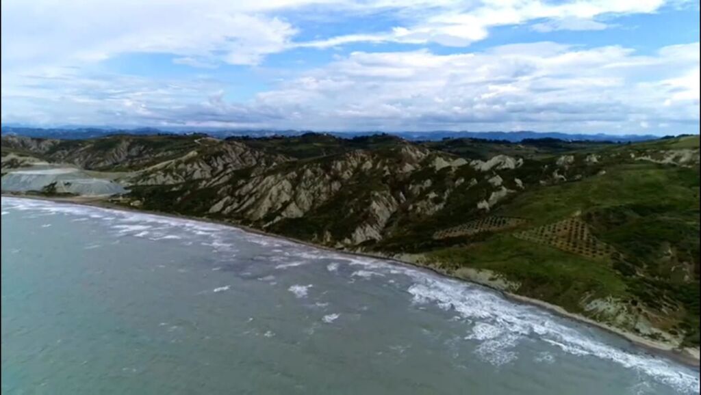 SHITET TOKE BUZË DETIT - BREGDETI I KAVAJES