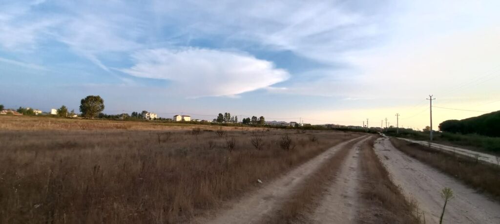 ✨ SHITET TOKË BUJQËSORE NË SEKTORIN RINIA, DURRËS ✨