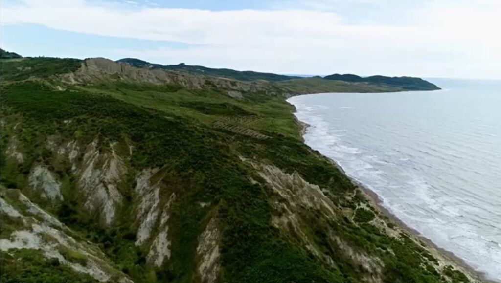 SHITET TOKE BUZË DETIT - BREGDETI I KAVAJES