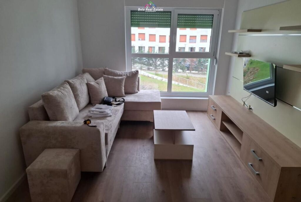 Appartamento In Affitto 1+1 A Ali Demi (ID B2101662) Tirana