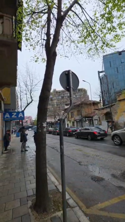 Dyqan per shitje Selvia !