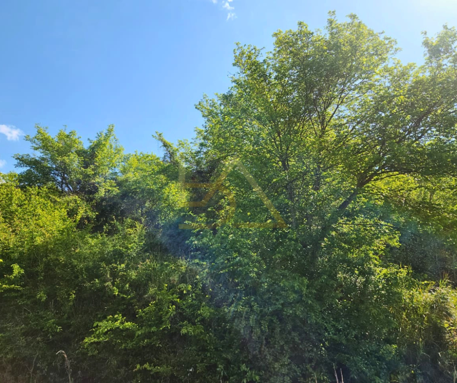 Land for Sale – Golem, Kavajë