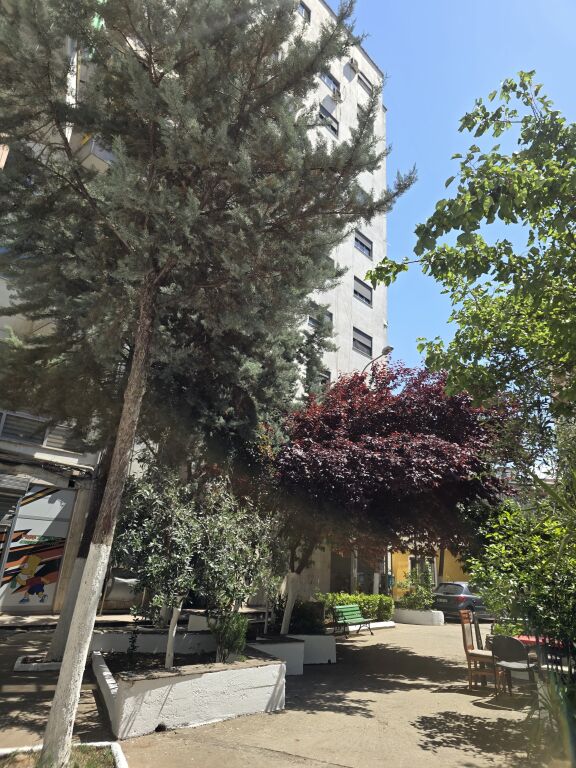 Jepet me qira 1+1,pallati me shigjeta