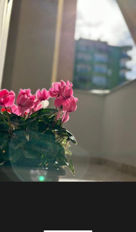 Appartamento 2+1+2 in affitto a Bllok