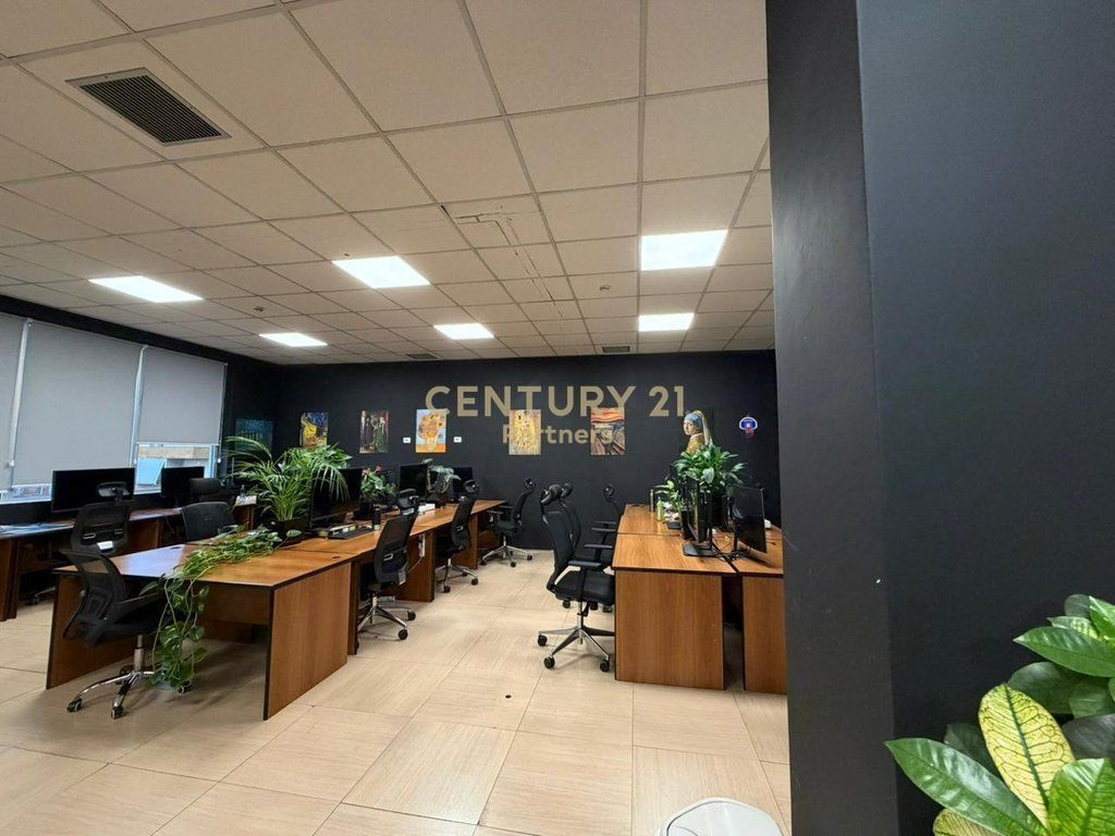 SHESIM AMBIENT DHE 2 POSTE PARKIMI PERBALLE DELIJORGJIT