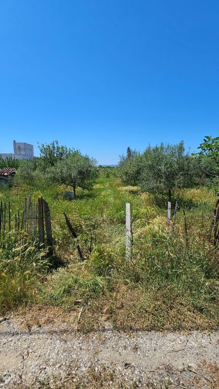 Autostrada Tirane Durres, shes toke, 9.456 m²