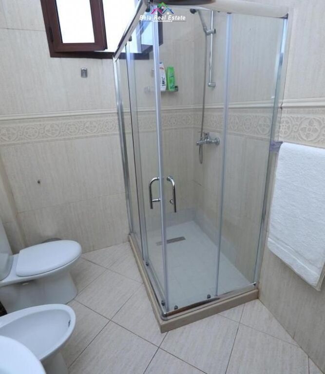 Apartament Me Qera 1+1 Ne Qender (ID B210739) Tirane.