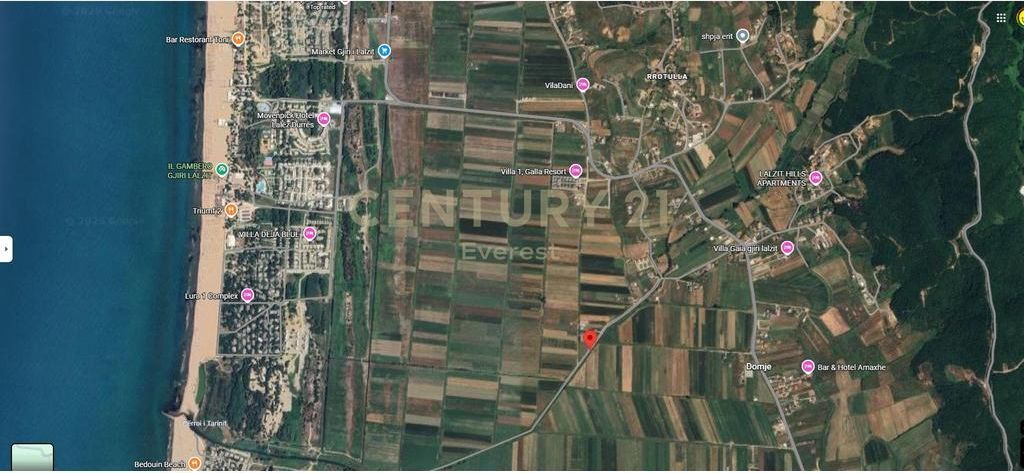 GJIRI LALZIT, SHESIM TOKE