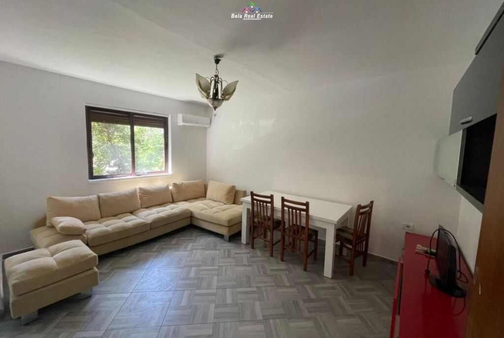Apartament Ne Shitje 1+1 Ne Vasil Shanto (ID B111147) Tirane