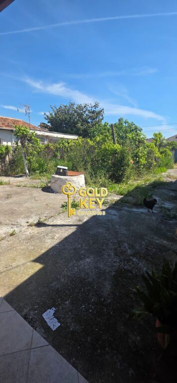 🏡 SHITET SHTËPI PRIVATE NË 4 RRUGËT, SHIJAK 🌿✨