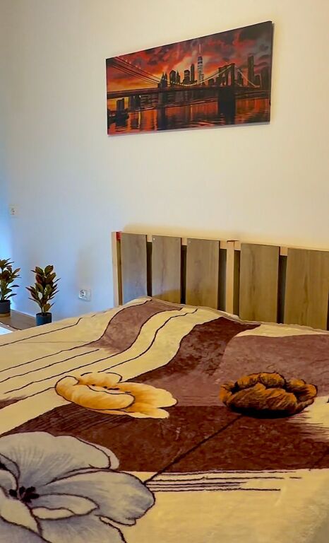 Appartamento in affitto 1+1, presso la collina del sole 2