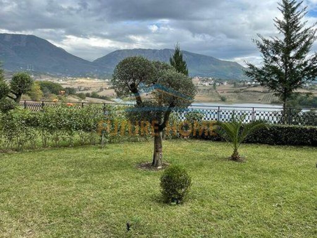 Qira, Vile, Farke e Vogel, Tirane