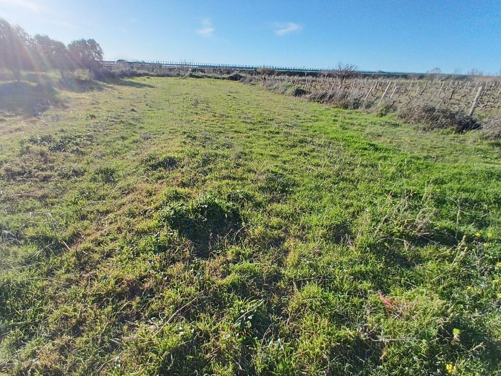 TOKE PER SHITJE – PANAJA VLORE