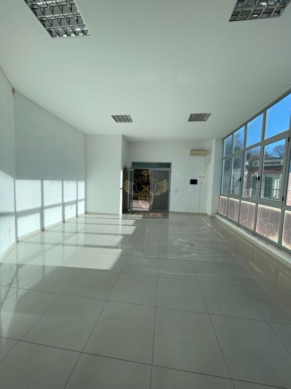 🏢 AMBIENT ME QERA PRANE ALBANIAN COLLEGE