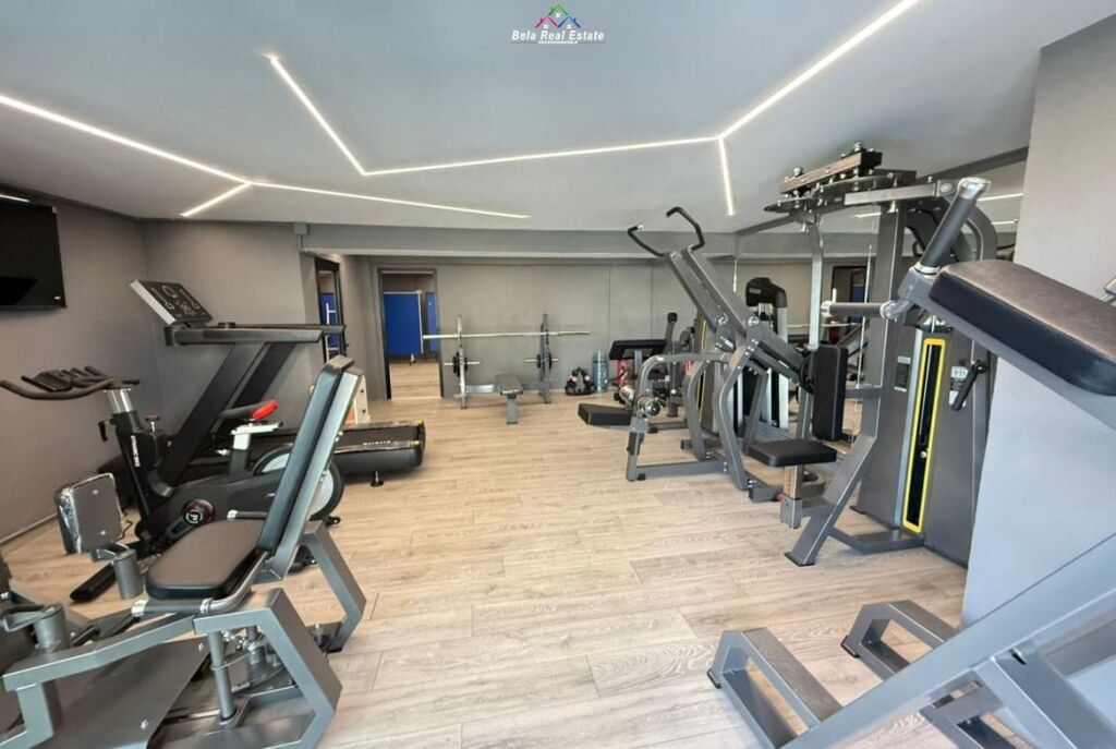 Vile Me Qera Tek Liqeni i Thate ( ID BV22615) Tirane