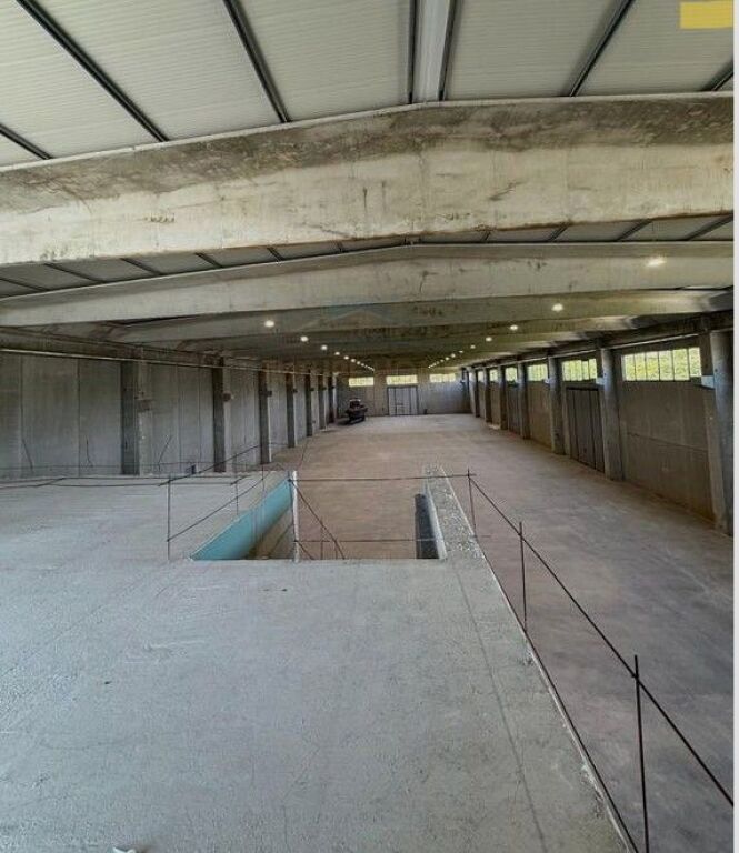 Shitet, Kapanon, Autostrada Vorë–Rinas.